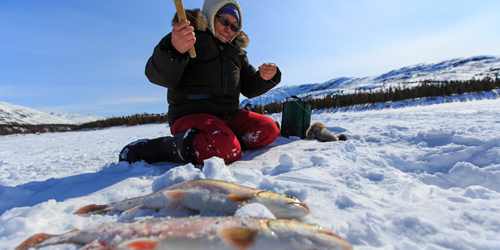 Imgs double notre culture 2